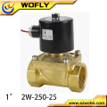 1inch 12v / 24v / 220v / 230v Spule Solenoid Wasserventil normal schließen / offen G / NPT 0 ~ 10bar